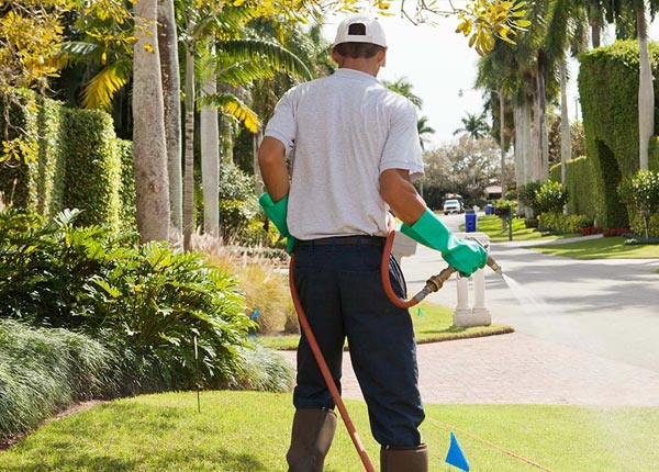 About Crozet VA Pest Control